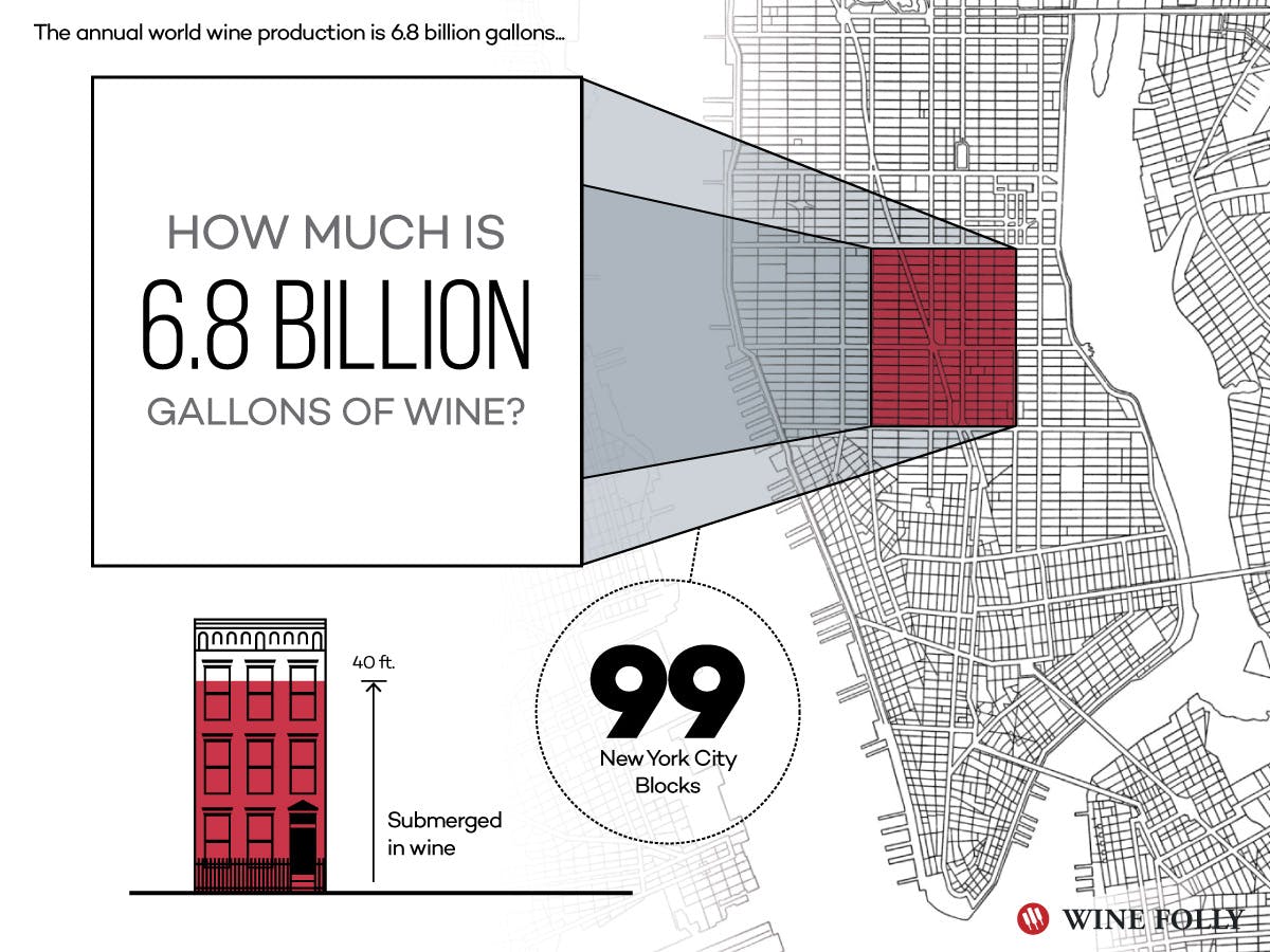 Cover Image for Top Wine Producing Countries of the World