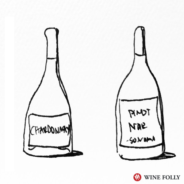 Pinot Noir and Chardonnay work really well with an all white pizza - bottle illustration Wine Folly