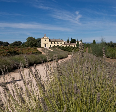 Dominio de Valdepusa outside of Toledoa in the Méntrida DO