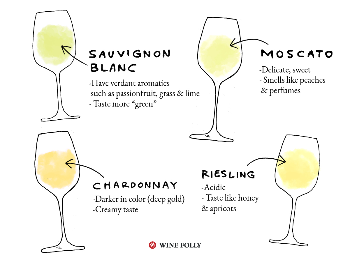 blind-tasting-white-wine-color