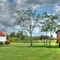 bodega-bouza-uruguay-vineyards-wine