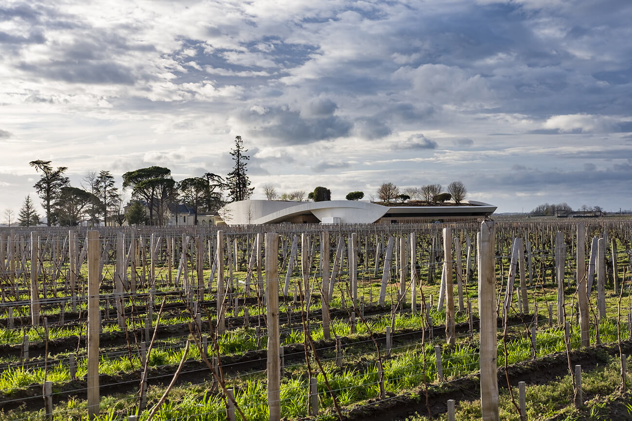 bordeaux-vineyards-luca-sartoni-2017