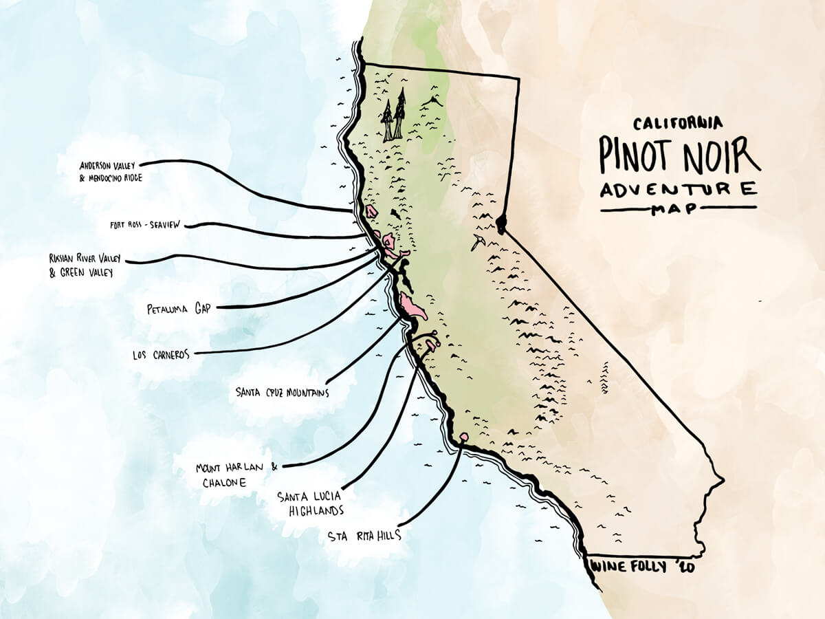 california-pinot-noir-map-winefolly-illustration