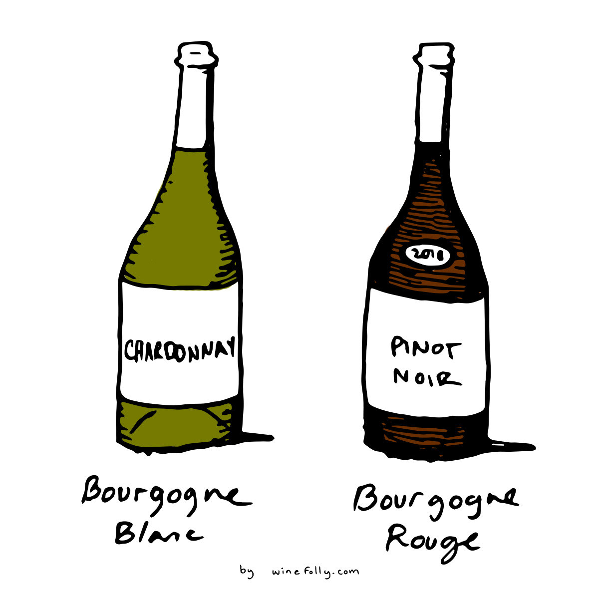 Chardonnay and Pinot Noir are the two primary grapes of Bourgogne (Burgundy) Blanc and Rouge wines - illustration by Wine Folly