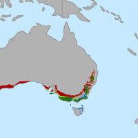 Change in areas suitable for growing wine grapes through 2050 in Australia. by conservation.org