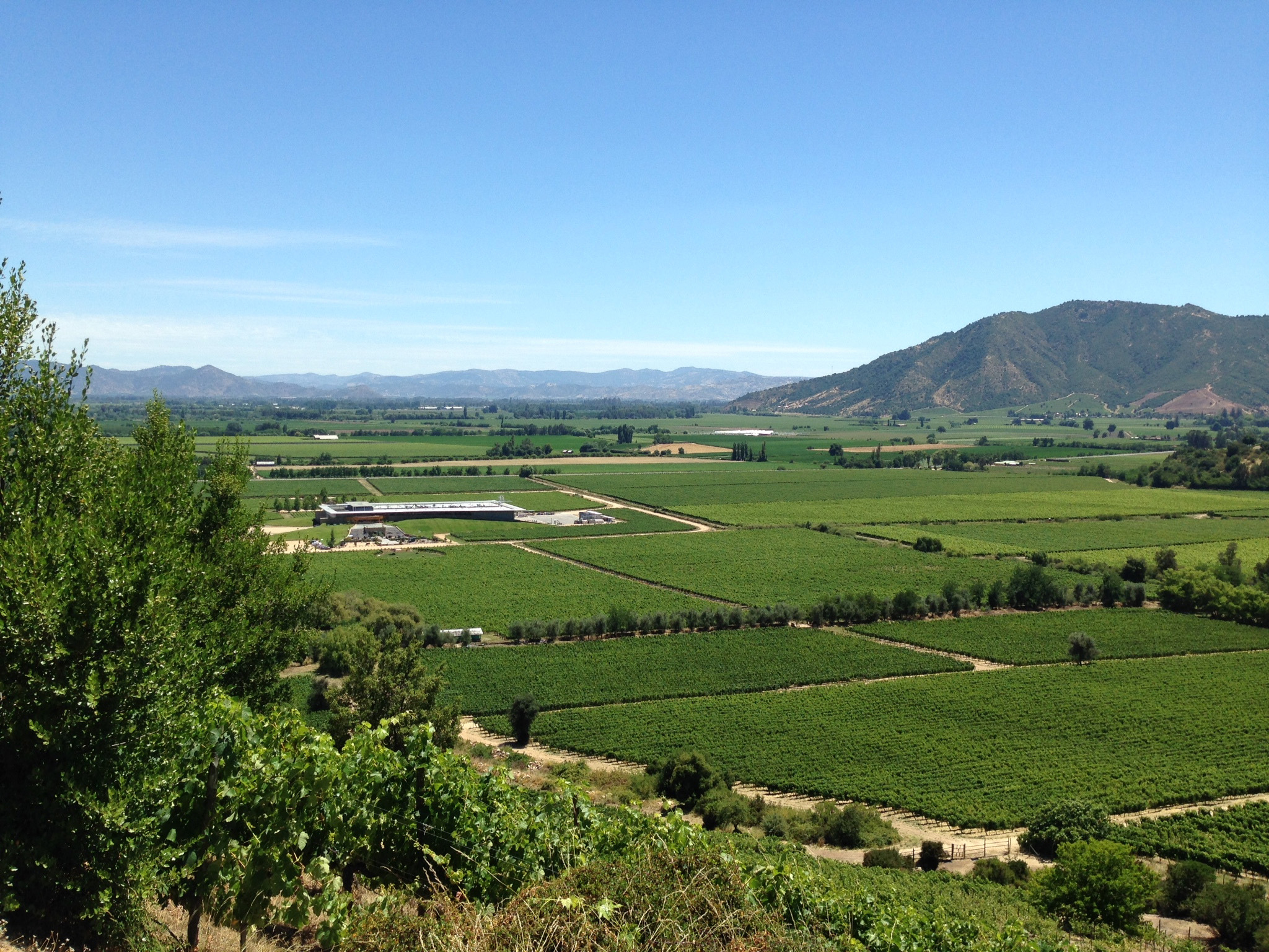 colchagua-valley-chile-by-tjeerd-wiesma