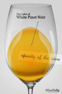 Color of white pinot noir in a glass also known as vin gris or blanc de noir