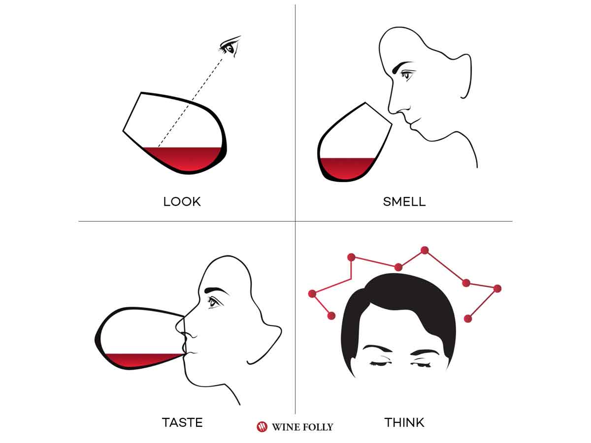 Learn How to Taste Wine