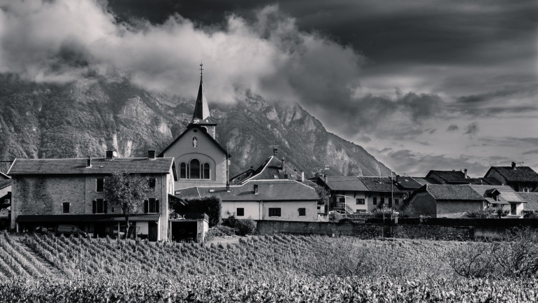 Vineyards by Les Marches by Ghislain Mary