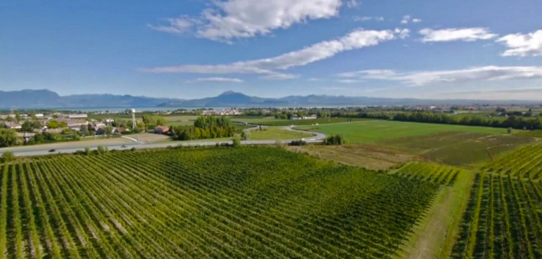 Lugana Region Lake Garda Turbiana Vineyards