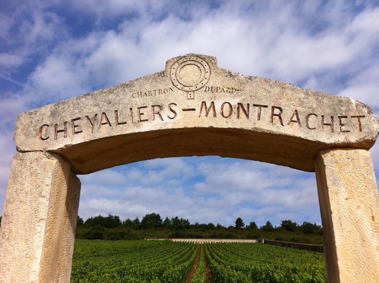 Montrachet-Burgundy-Yohan Castaing