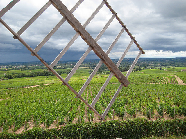 moulin-a-vent-beaujolais