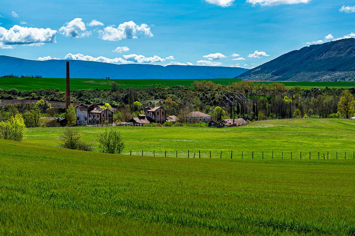 The wine region of Navarra, Spain.