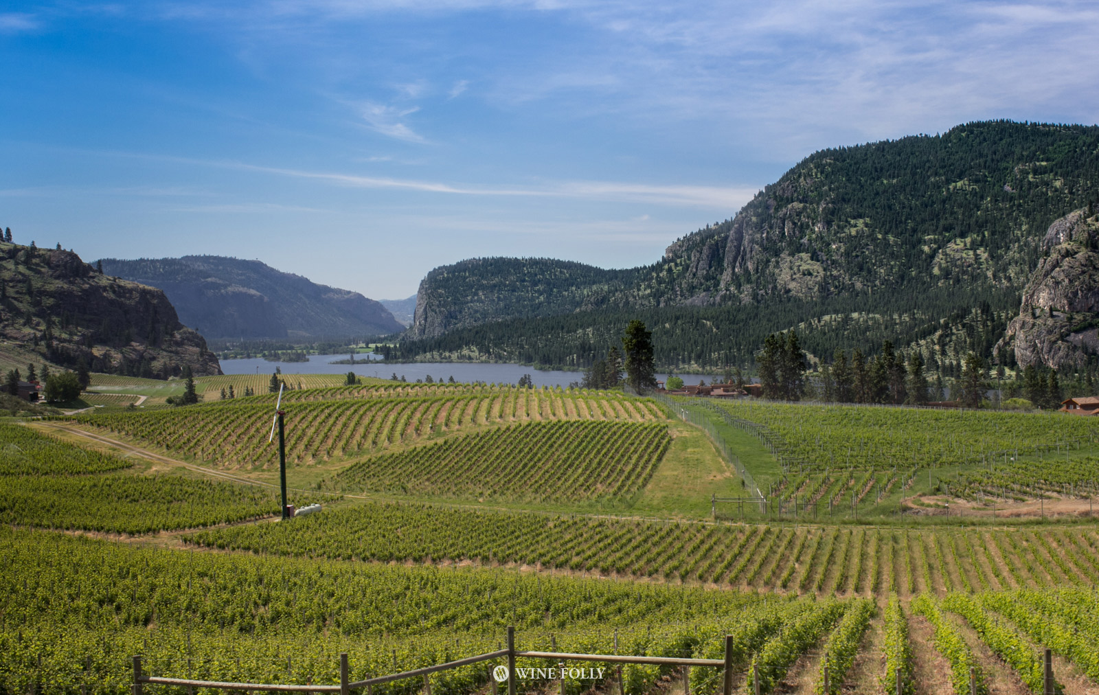 Okanagan Wine Country vineyard view by Wine Folly