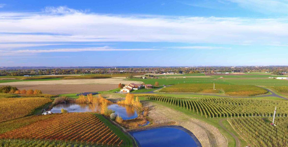 Photo of a winery in autumn with flatlandscape and autumn colours