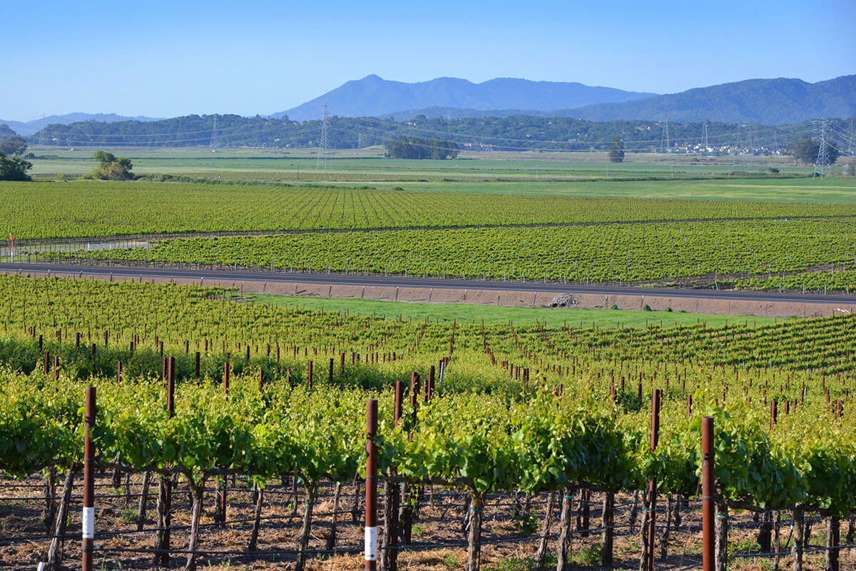 The Petaluma Gap in California.