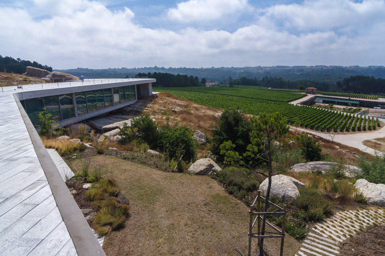 The Dão region of Portugal at Quinta de Lemos