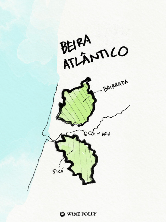 Portugal-illustrations-bairrada-wine-region