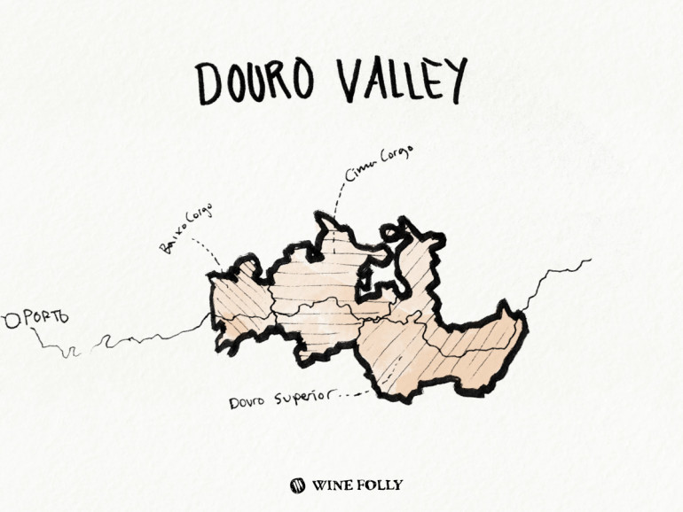 Portugal-illustrations-douro-valley