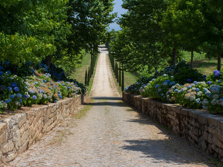 The cobblestone road to Quinta de Azevedo in Barcelos, Portugal makes Vinho Verde Wines in Minho