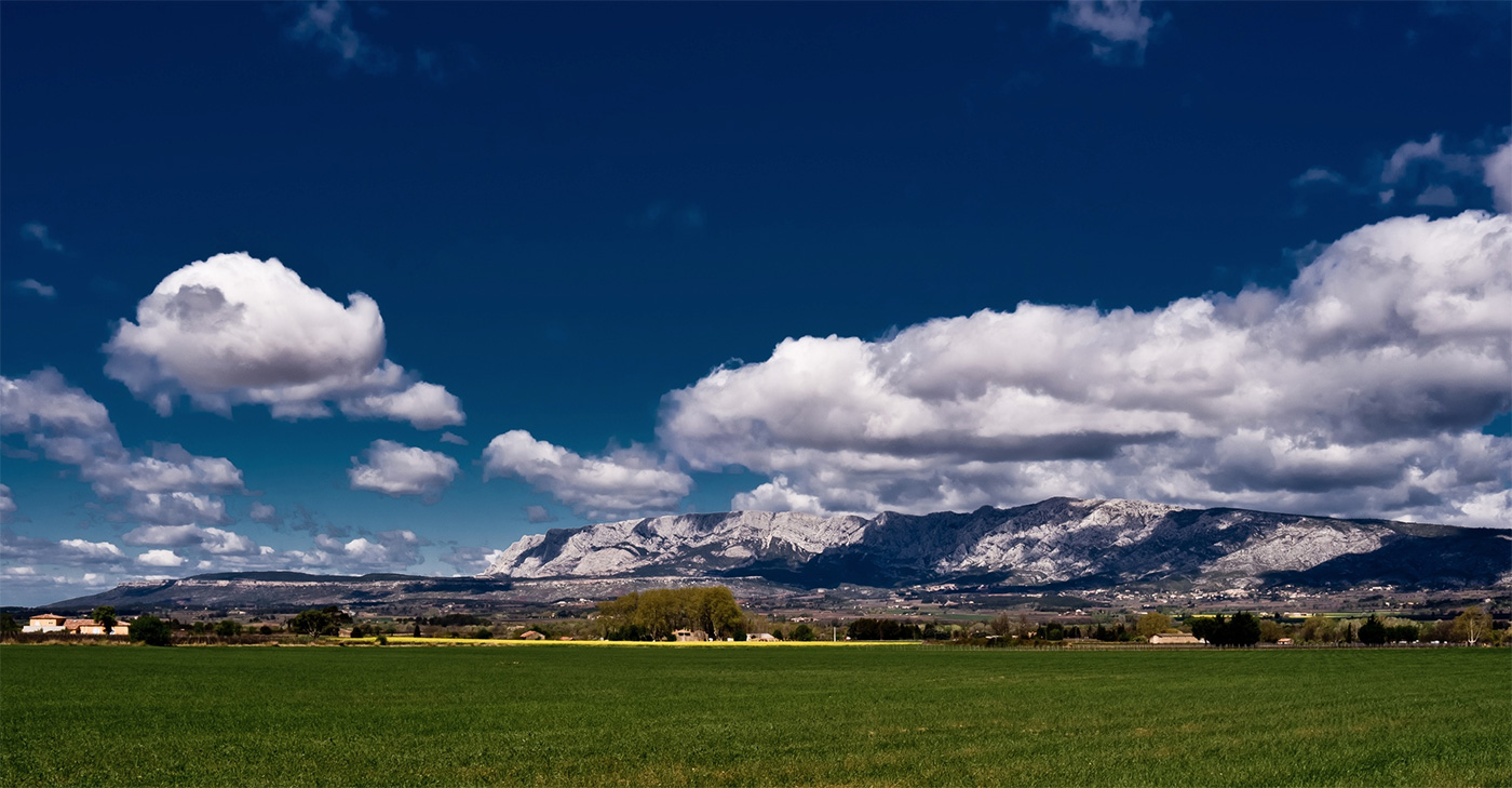 Provence Wine Region Picture