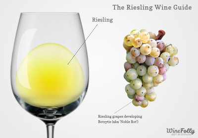 Riesling wine and grapes