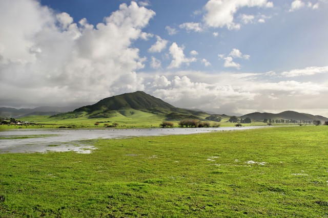 San Luis Obispo Wine Country