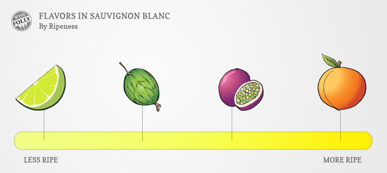 Sauvignon Blanc Taste Profile by Ripeness