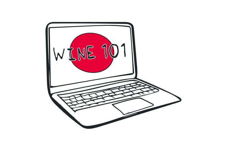 Save 75% Off Wine 101