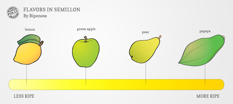 Semillon wine taste chart