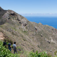 slope-vineyards-canary-islands-tenerife-jose-pastor-brian-mcclintic-jimmy-hayes