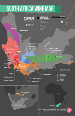 South Africa Wine Map by Wine Folly