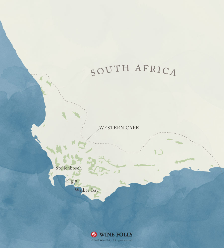 South African Sauvignon Blanc wine map by Wine Folly