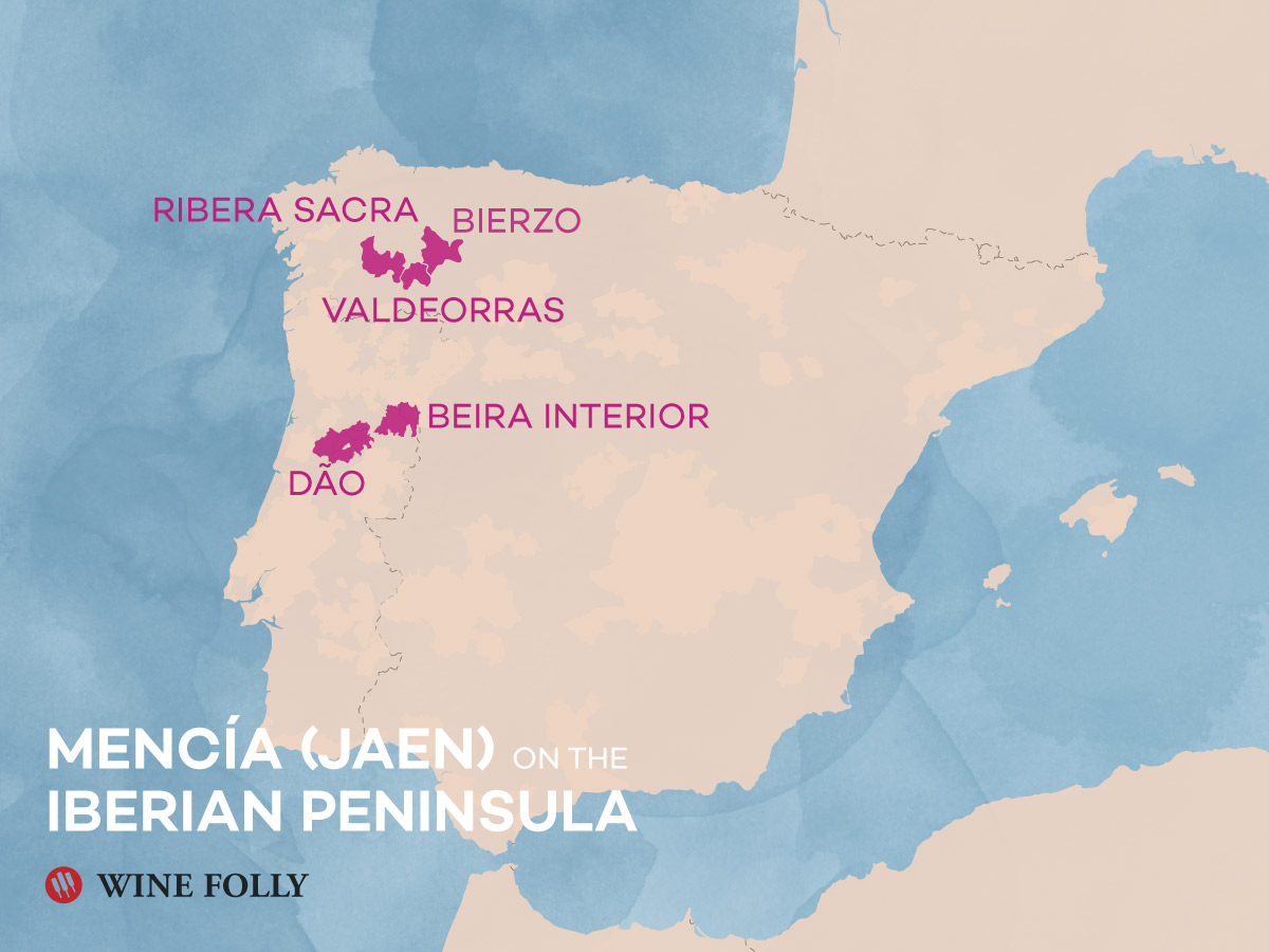 Mencia - Jaen wine regions of Spain and Portugal by Wine Folly