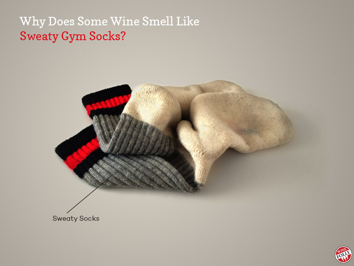 sweaty-socks-wine