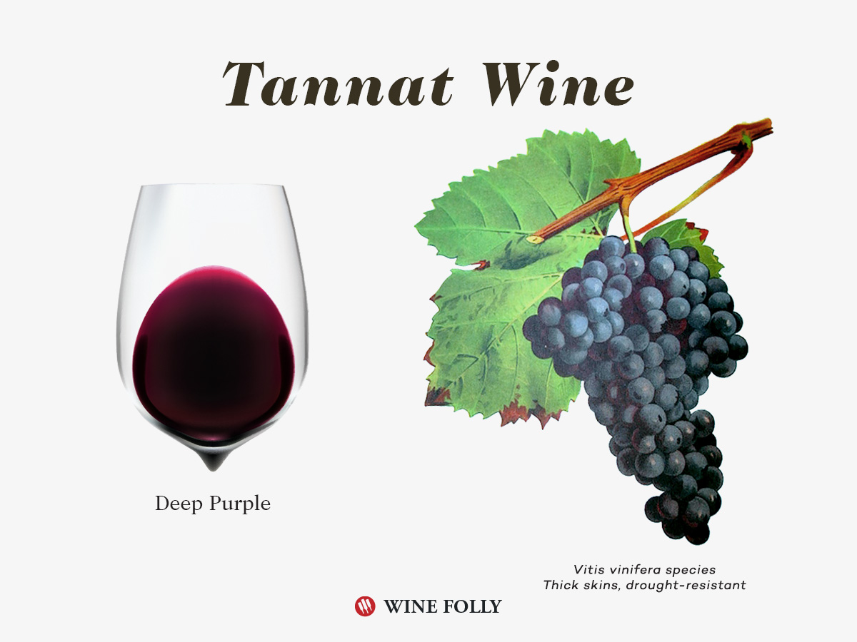 Tannat's high levels of color and tannin make it appear opaque ruby in the glass.