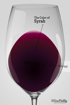 The Color of Syrah in a Wine Glass