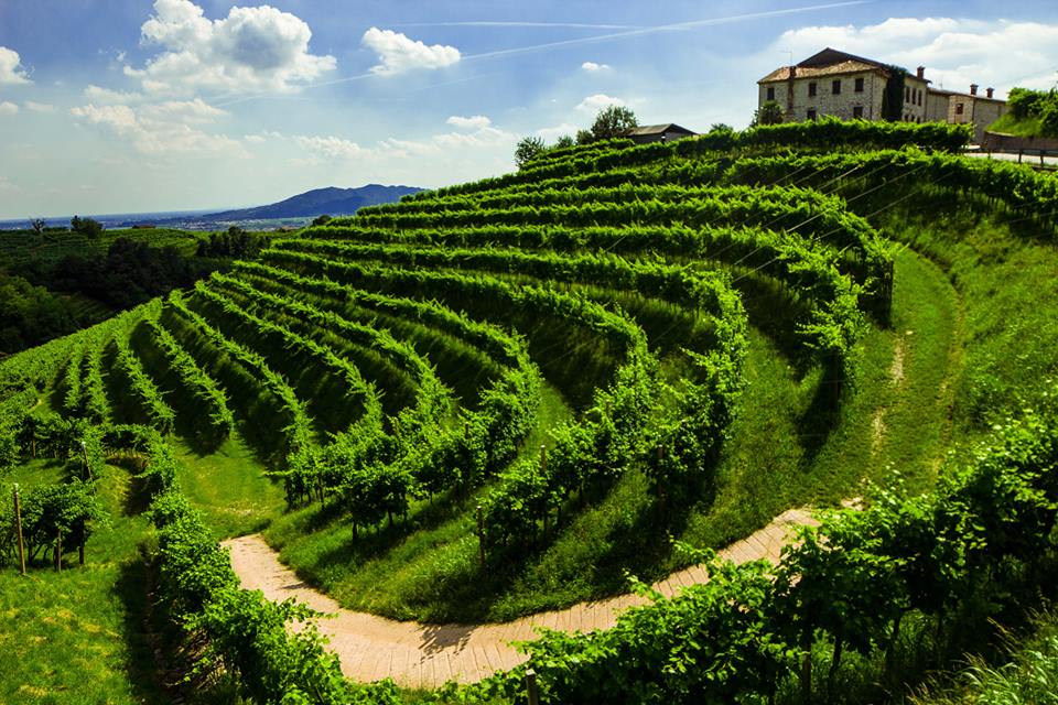 valdobbiadene-prosecco-hills-italy-elena-zamprogno