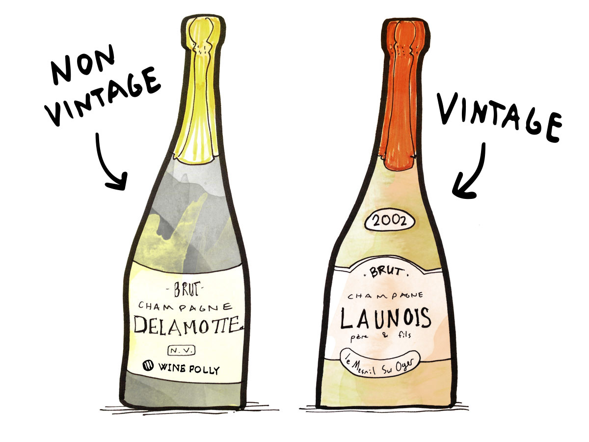 Non-Vintage NV vs Vintage Champagne - Illustration by Wine Folly