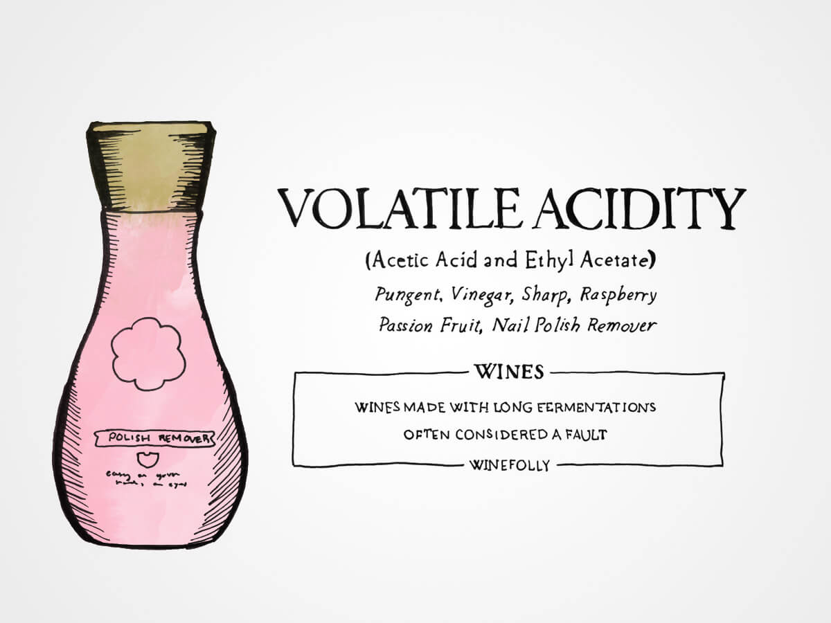 volatile-acidity-winefolly-illustration