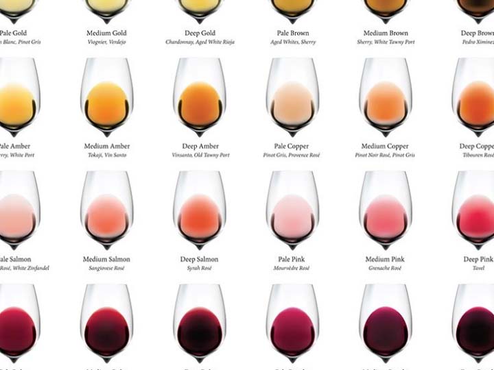 Wine Color Chart