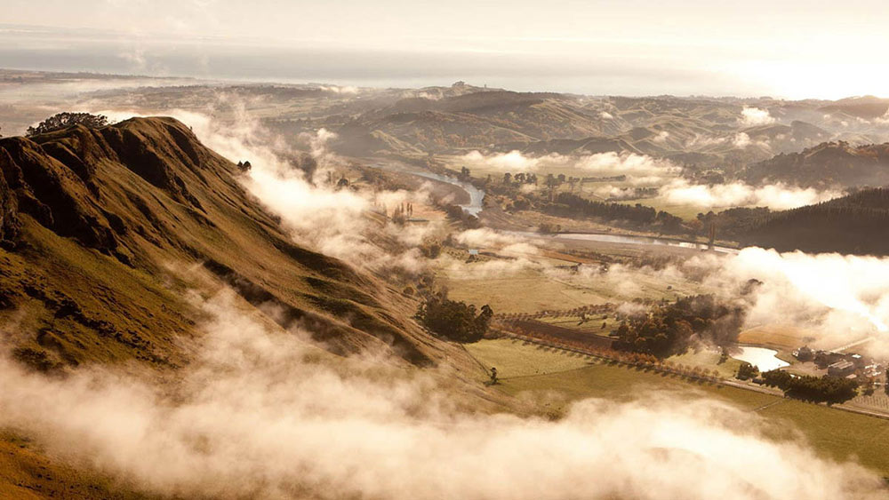 wine-folly-hawkes-bay-new-zealand