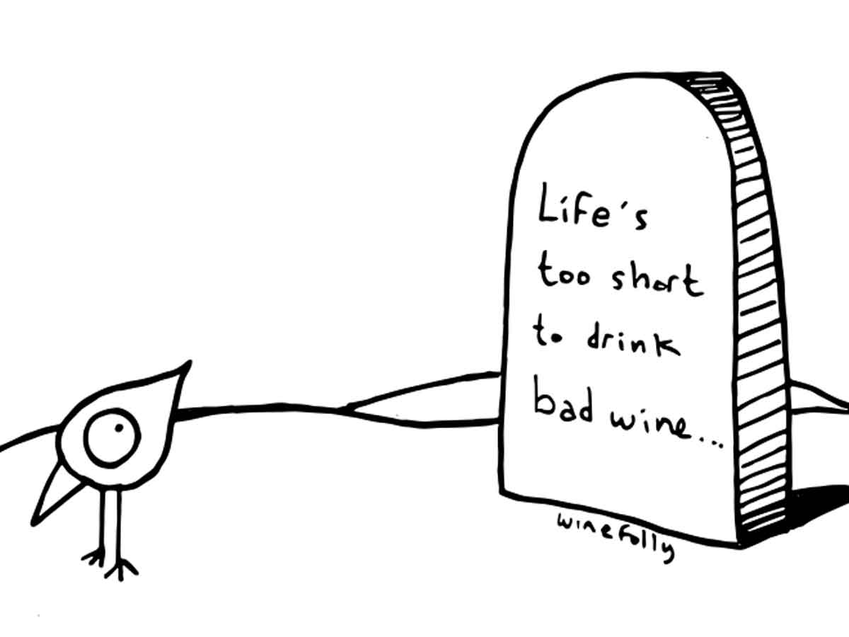 24 Funny Wine Quotes