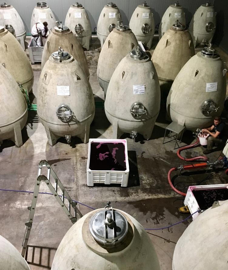 Zuccardi Winery egged shaped concrete fermenters