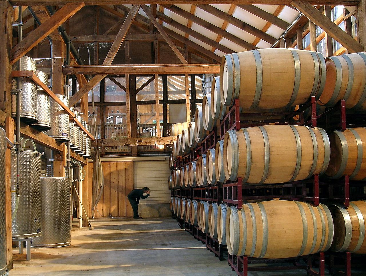 Unionville Vineyards winemaker inspects barrels beneath wooden rafters in the barrel room