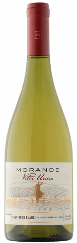 Vitis Única Sauvignon Blanc