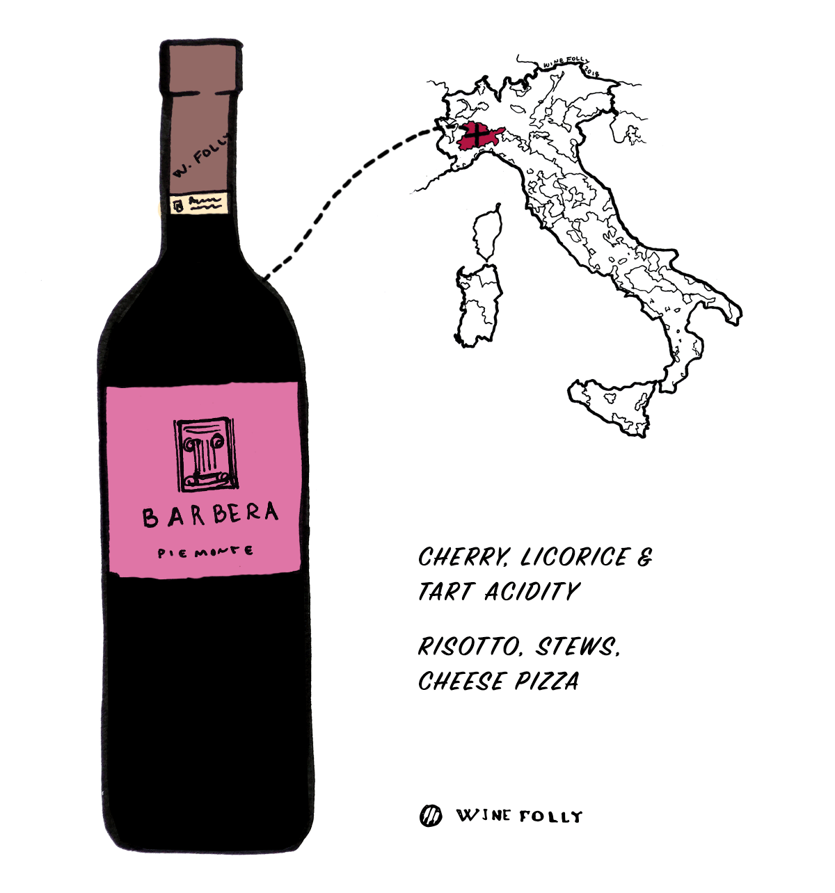 Barbera red wine grape from Italy - Great choice for beginners into Italian wine - Illustration by Wine Folly