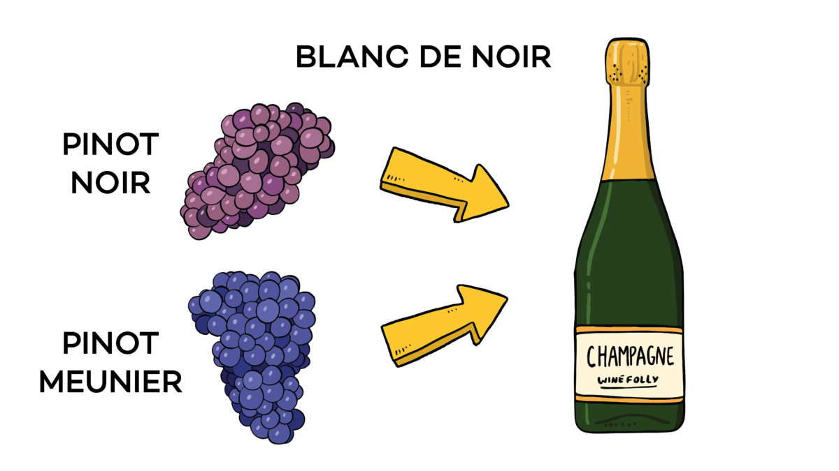 Illustration of sparkling wine bottle and grapes