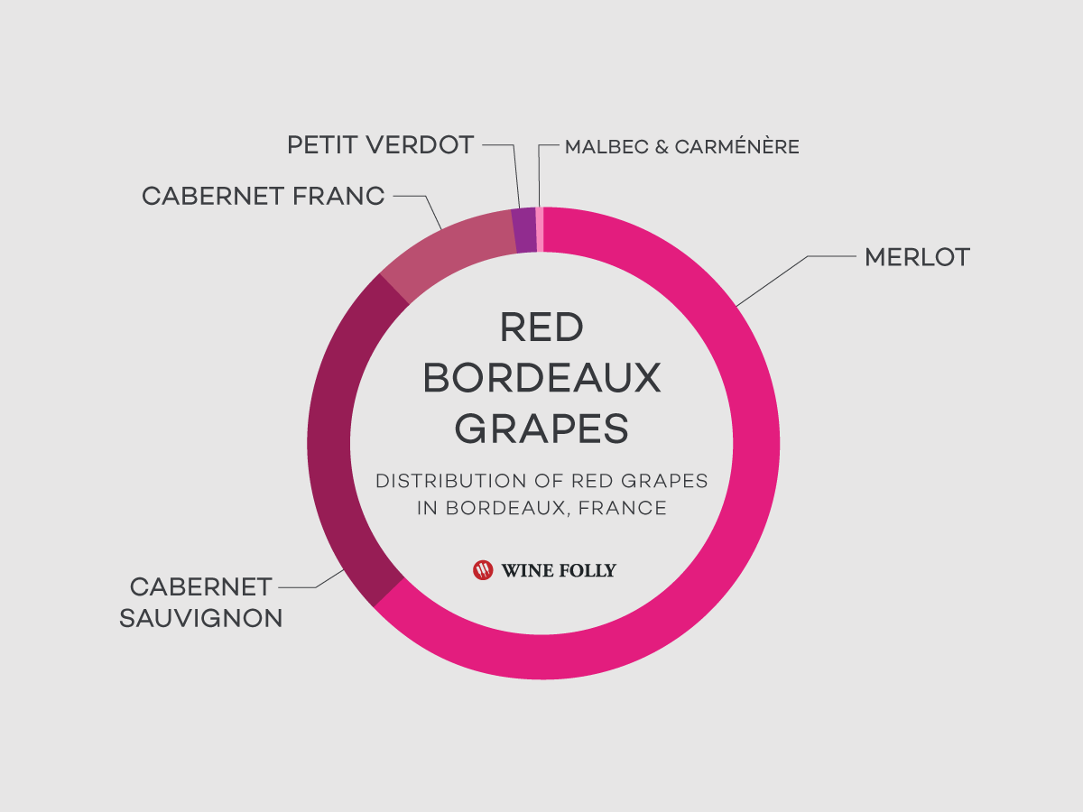 Infographic shows the distribution and types of red wine varieties grown in Bordeaux. (Wine Folly)