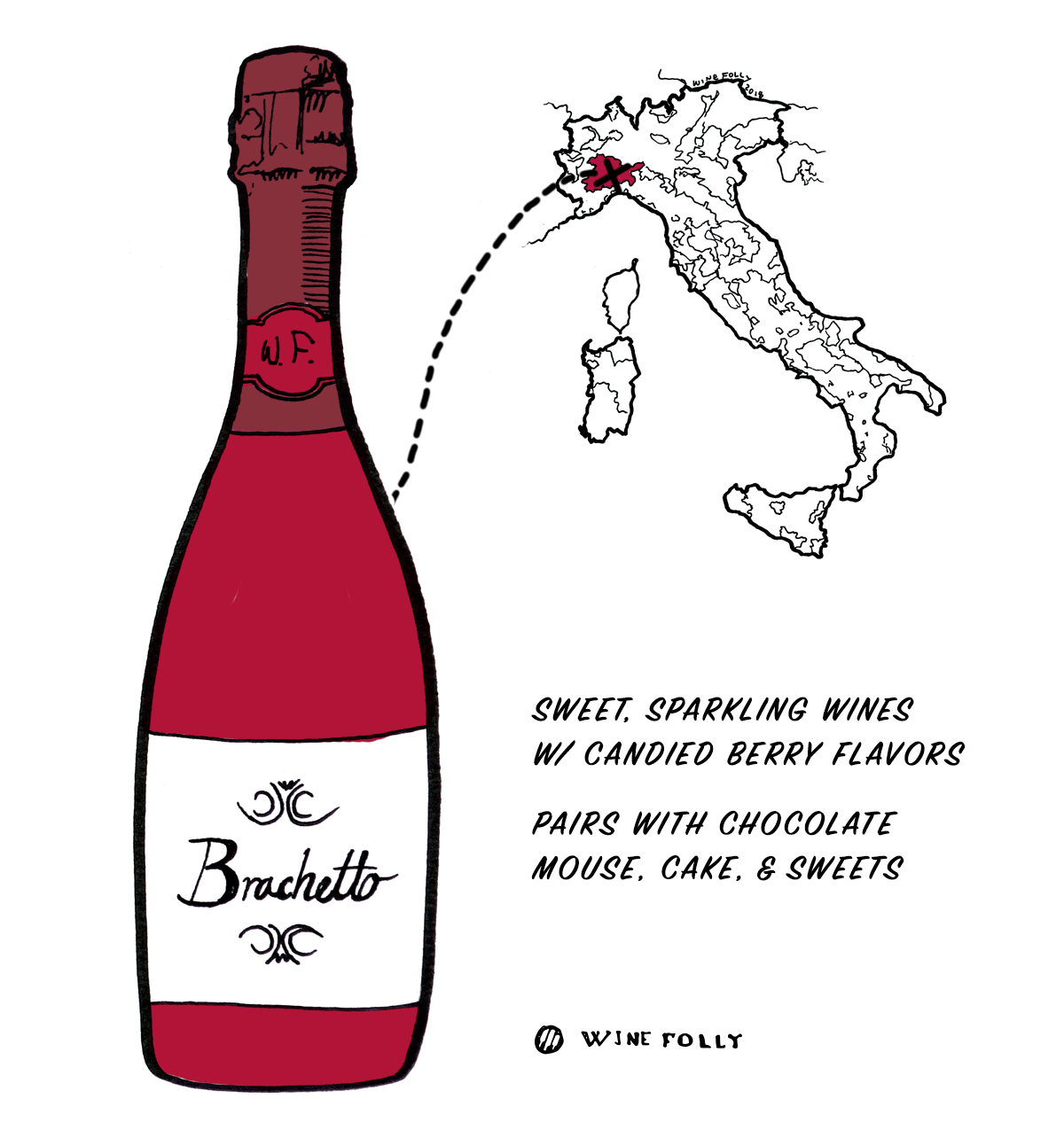 Brachetto red wine grape from Italy - Great choice for beginners into Italian wine - Illustration by Wine Folly